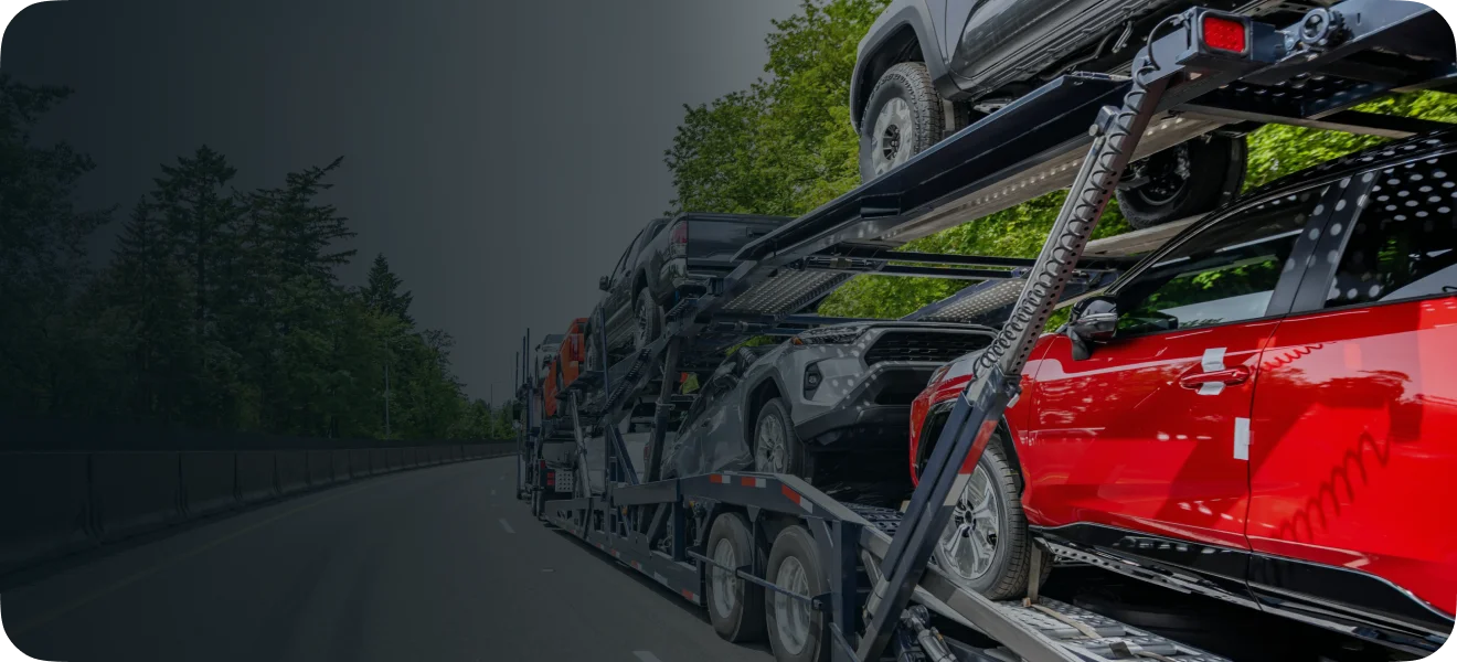 Many cars loaded into carrier