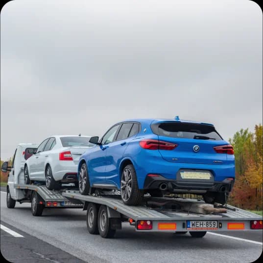 Two cars transported with carrier